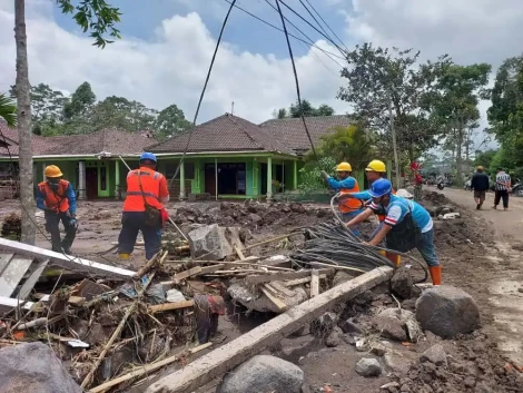 WhatsApp Image 2025-11-29 at 22.24.38