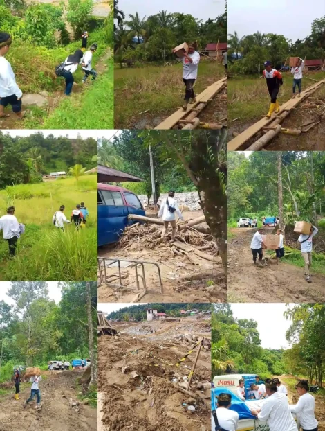 WhatsApp Image 2025-12-29 at 17.09.31 (1)