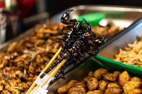 5 Rekomendasi Kuliner Ekstrem di Jogja